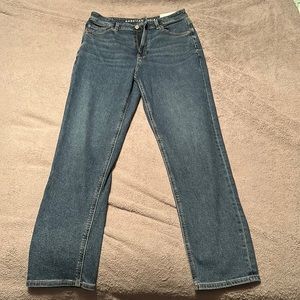 American Eagle Mom Jean